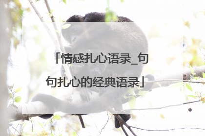 情感扎心语录_句句扎心的经典语录
