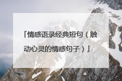 情感语录经典短句（触动心灵的情感句子）