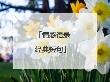 情感语录经典短句