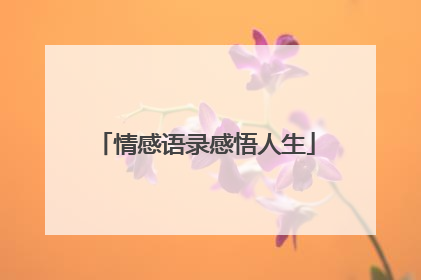 情感语录感悟人生