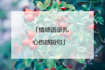 情感语录扎心伤感短句