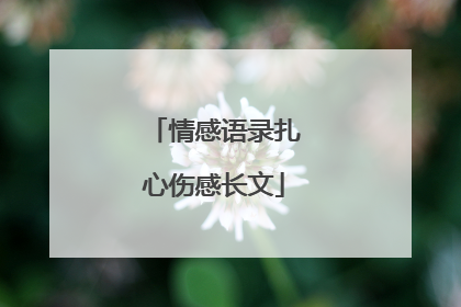 情感语录扎心伤感长文