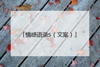 情感语录5（文案）