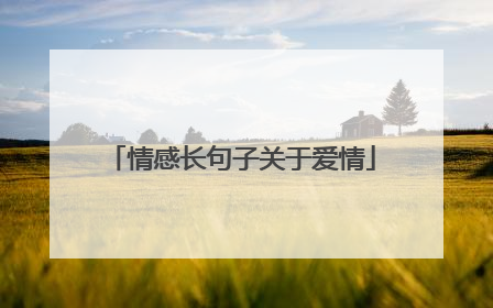 情感长句子关于爱情