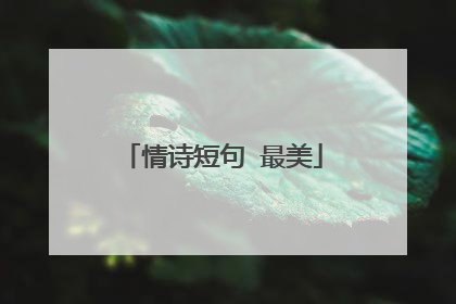 情诗短句 最美