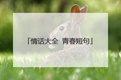 情话大全 青春短句