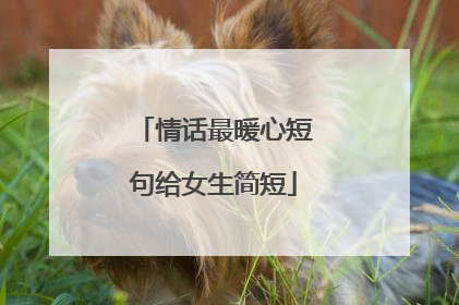 情话最暖心短句给女生简短