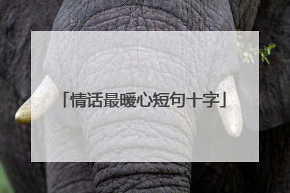 情话最暖心短句十字
