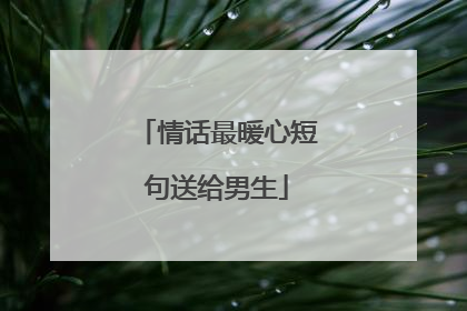 情话最暖心短句送给男生