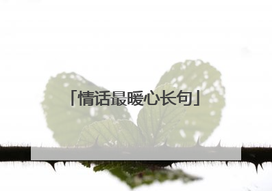 情话最暖心长句