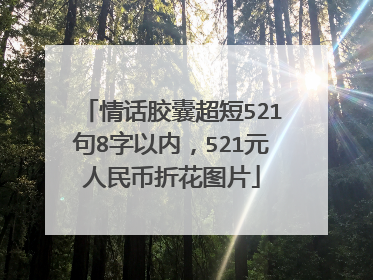 情话胶囊超短521句8字以内，521元人民币折花图片
