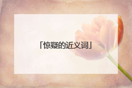 惊疑的近义词