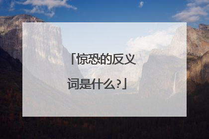 惊恐的反义词是什么?