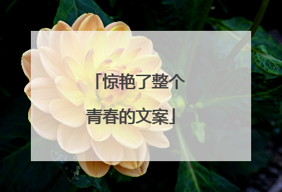 惊艳了整个青春的文案