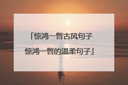 惊鸿一瞥古风句子 惊鸿一瞥的温柔句子