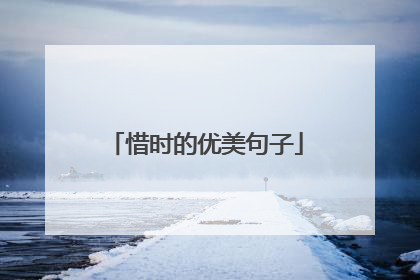 惜时的优美句子