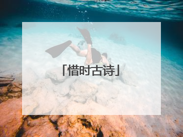 惜时古诗