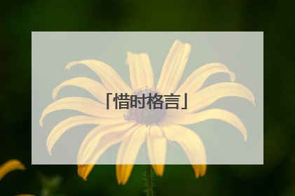 惜时格言