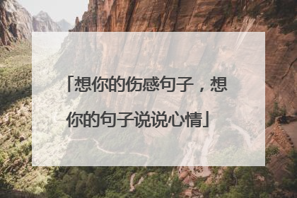 想你的伤感句子，想你的句子说说心情