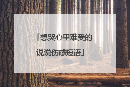 想哭心里难受的说说伤感短语