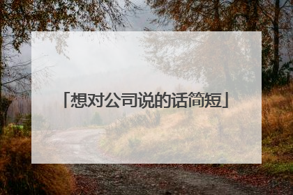 想对公司说的话简短