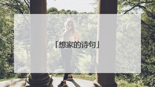 想家的诗句