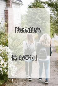 想家的高情商短句
