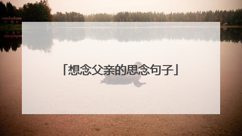 想念父亲的思念句子