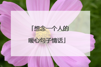 想念一个人的暖心句子情话