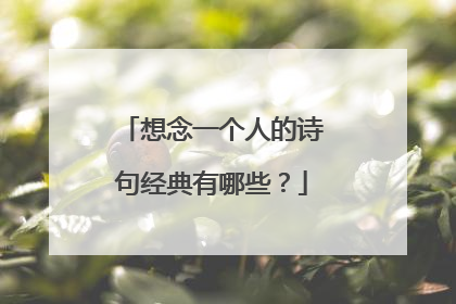 想念一个人的诗句经典有哪些?