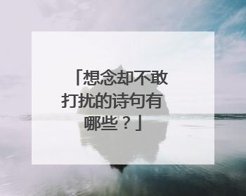 想念却不敢打扰的诗句有哪些?