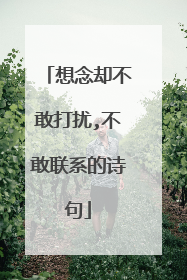 想念却不敢打扰,不敢联系的诗句