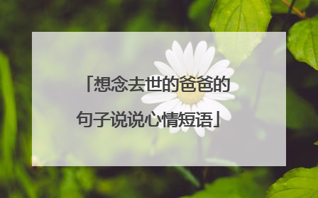 想念去世的爸爸的句子说说心情短语