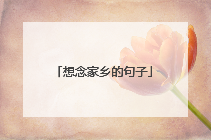 想念家乡的句子