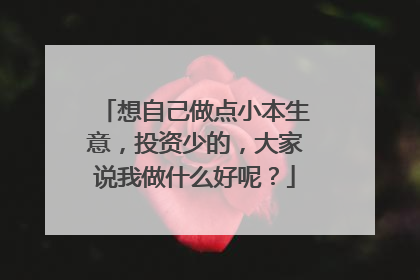 想自己做点小本生意,投资少的,大家说我做什么好呢?