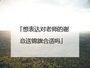想表达对老师的谢意送锦旗合适吗