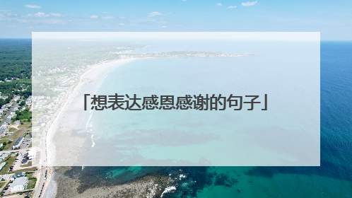 想表达感恩感谢的句子
