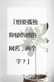 想要孤独抑郁伤感的网名，两个字？