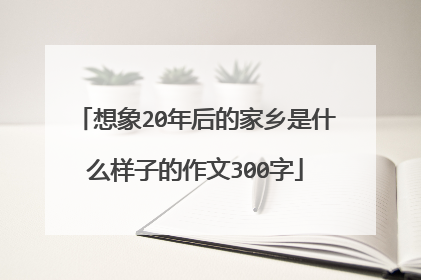 想象20年后的家乡是什么样子的作文300字