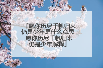 愿你历尽千帆归来仍是少年是什么意思 愿你历尽千帆归来仍是少年解释