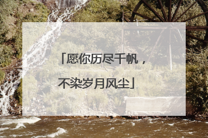 愿你历尽千帆,不染岁月风尘
