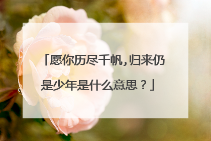 愿你历尽千帆,归来仍是少年是什么意思？