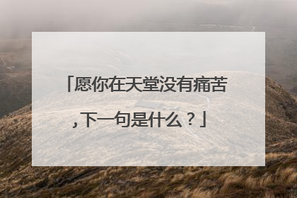 愿你在天堂没有痛苦,下一句是什么?