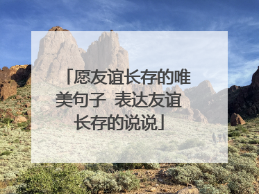 愿友谊长存的唯美句子 表达友谊长存的说说