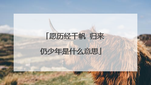 愿历经千帆 归来仍少年是什么意思