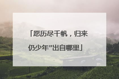愿历尽千帆,归来仍少年”出自哪里