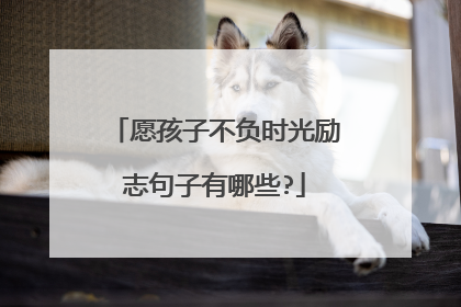 愿孩子不负时光励志句子有哪些?