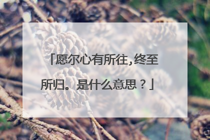 愿尔心有所往,终至所归。是什么意思?