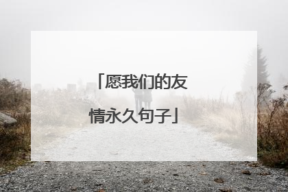 愿我们的友情永久句子