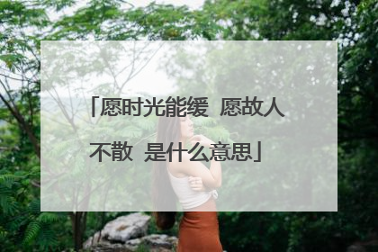愿时光能缓 愿故人不散 是什么意思
